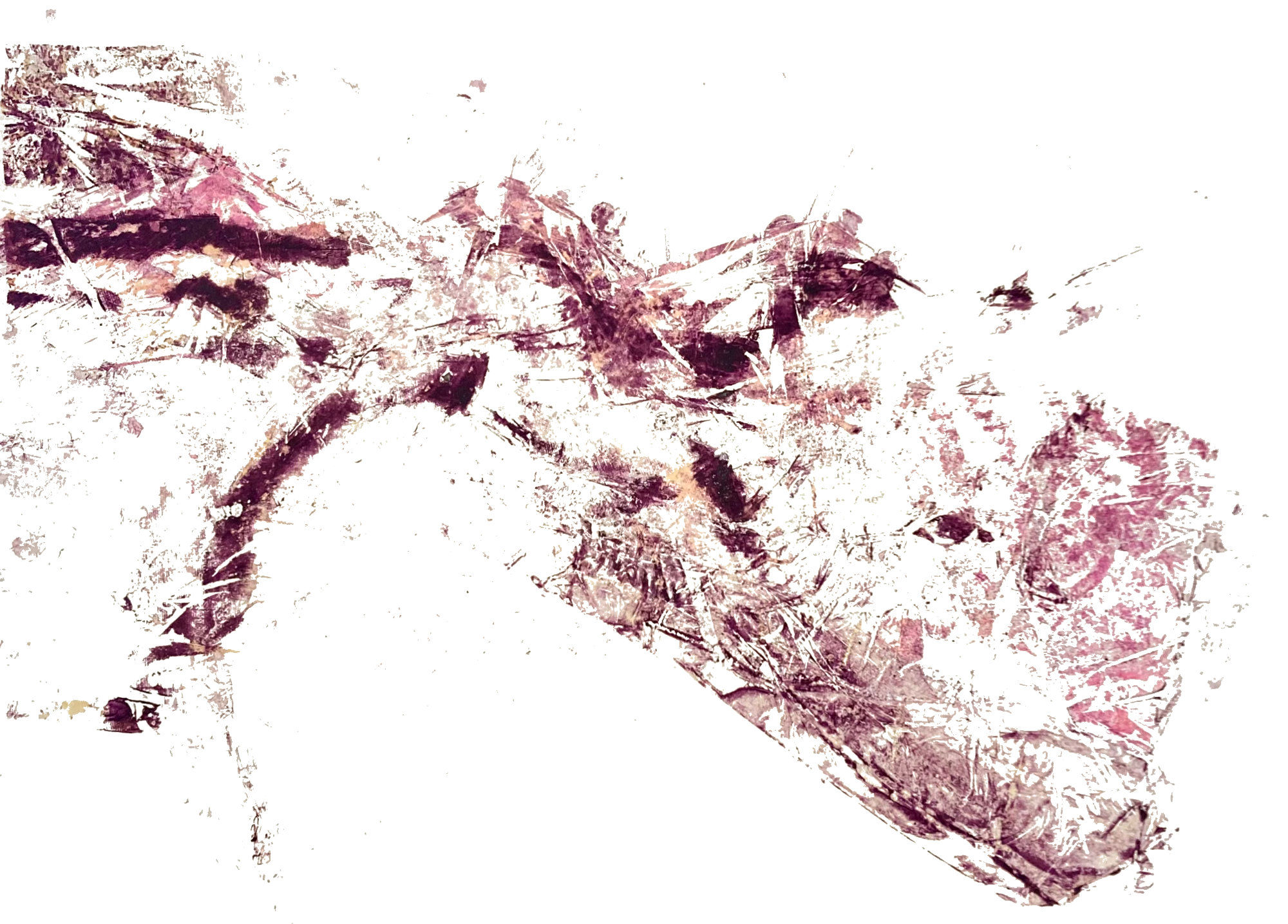 Interstitium | V.E. II | 3 of 5