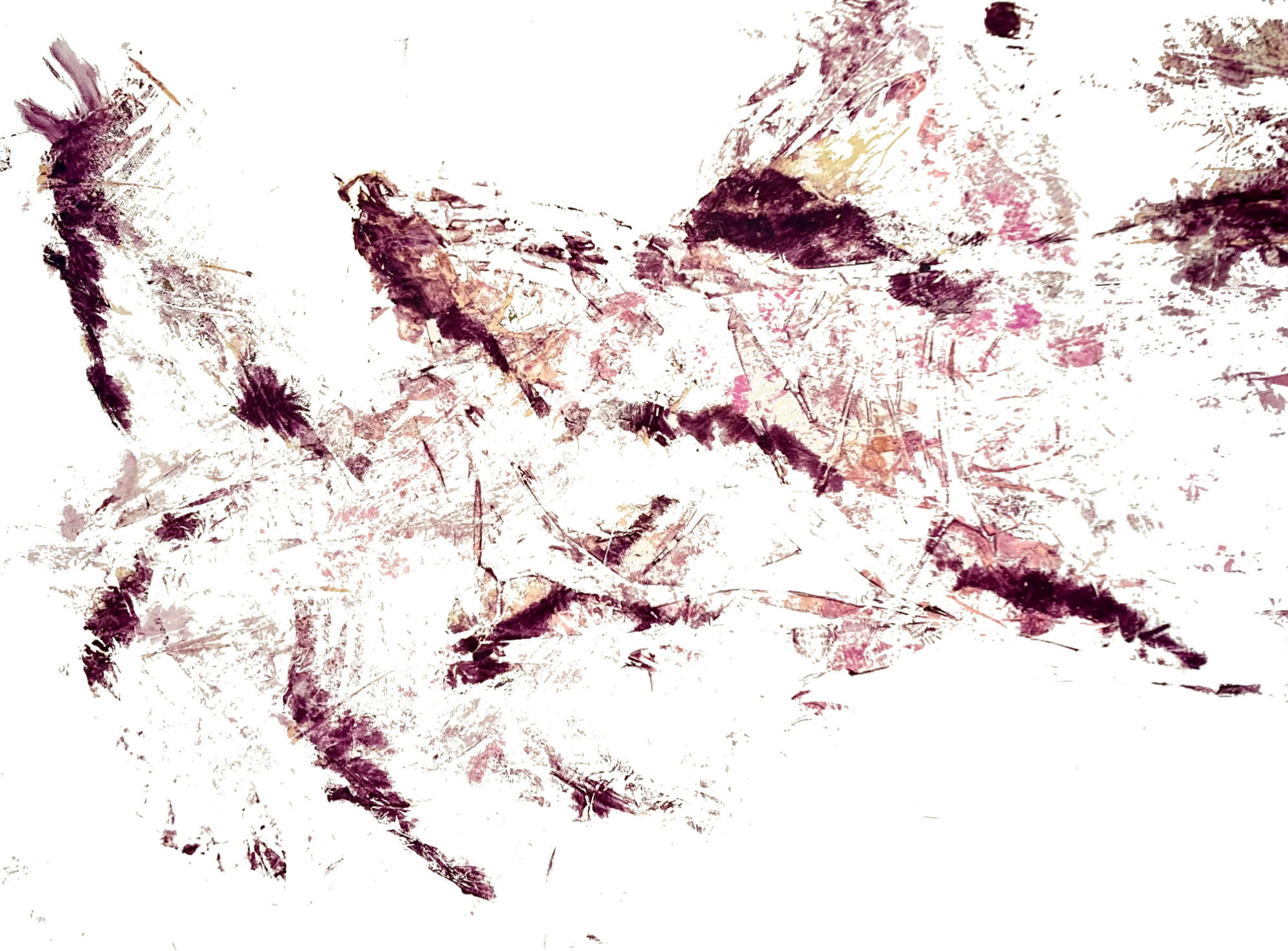 Interstitium | V.E. II | 2 of 5