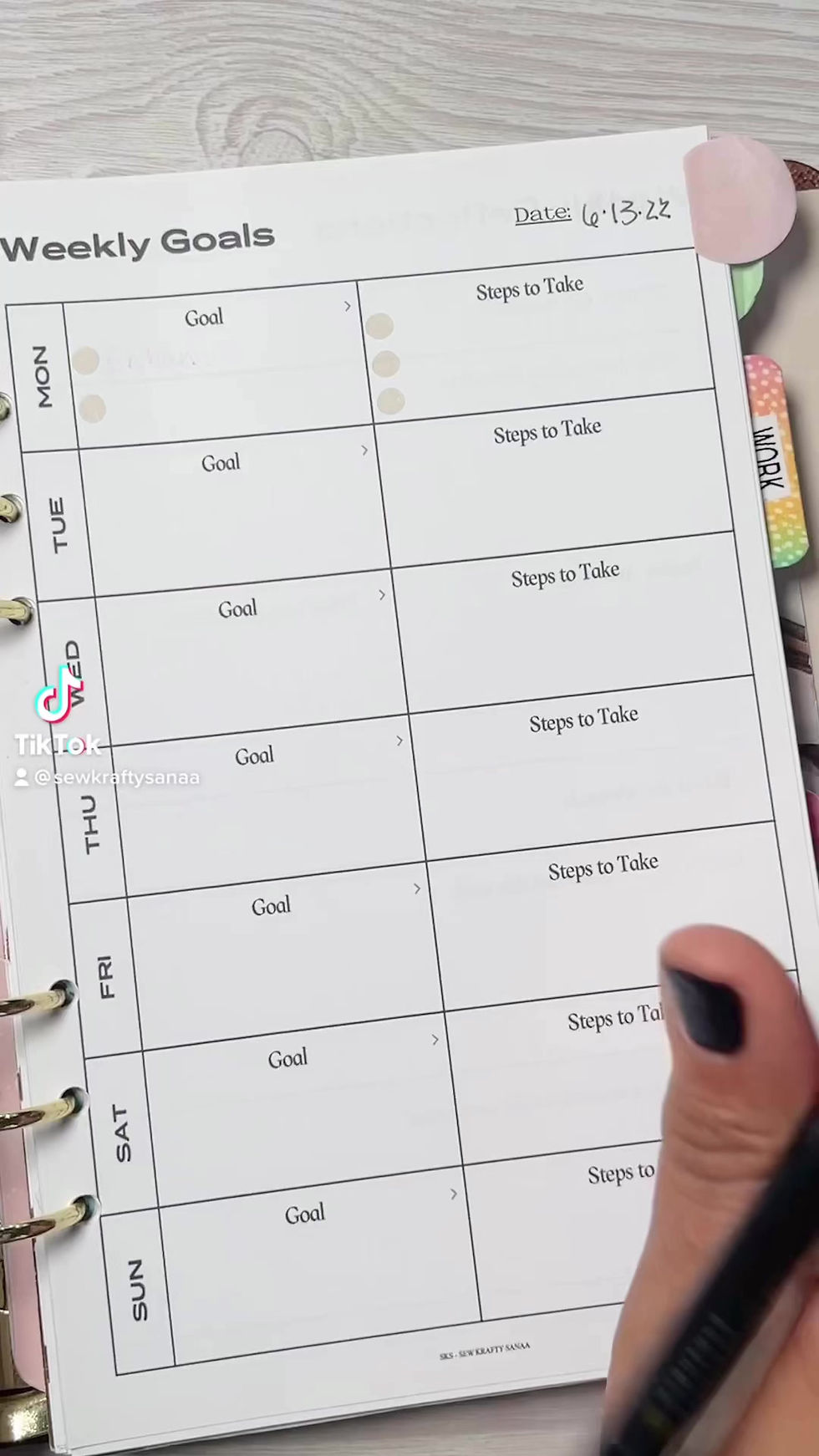 Thumbnail: Weekly Goals Refection Insert