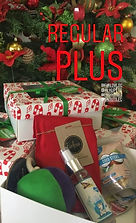 Santa Paws Regular Plus.jpeg