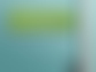 Big Deals! Green and White Name and Professional Title Door Sign