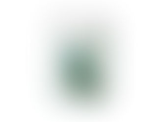 Big Deals! peacock beautiful turquoise vintage shabby bird beverage pitcher