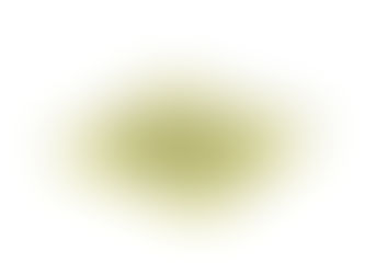 Top 5! Alabama Heart of Dixie Acrylic Tray