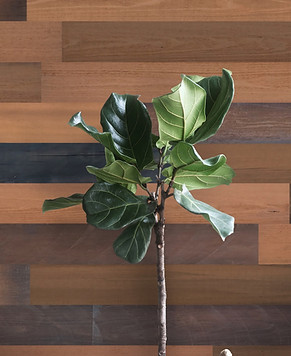 Grain Wood Brown: planks are made from thermo-treated Red Oak, which presents a rich grain structure and a deep Brown Color.
