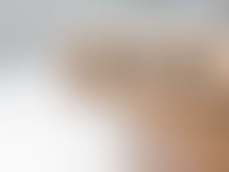 Job Alert: Prison Project Coordinator