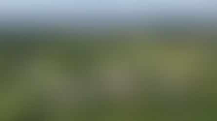 Farm and Conservation Manager Recruitment