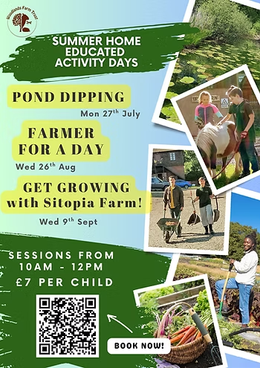 Summer Home Education activities