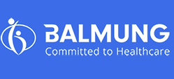 Balmung Logo