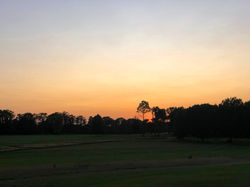 Cuddington Golf Course 4