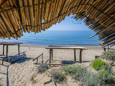 22c3a453-8865-4f3f-ae4d-cdd0081448a3 (1).JPG