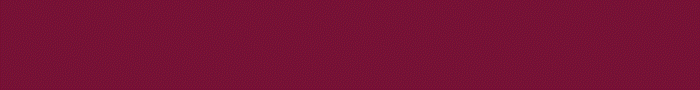 700 x 90 - 01.gif