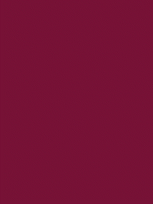300 x 400 - 01.gif