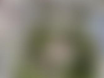 2025: A 100 días de gobierno. Lo hecho y por hacer