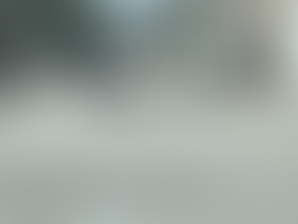 Exhortan a los 46 municipios de Guanajuato actualizar y adecuar el reglamento para el control y protección animal.