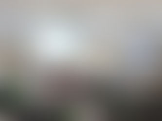 Avanza cómputo de votos en los 15 Consejos Distritales: INE Guanajuato