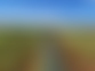 Busca Doctor Mora ser reconocido dentro de la denominación de origen del mezcal