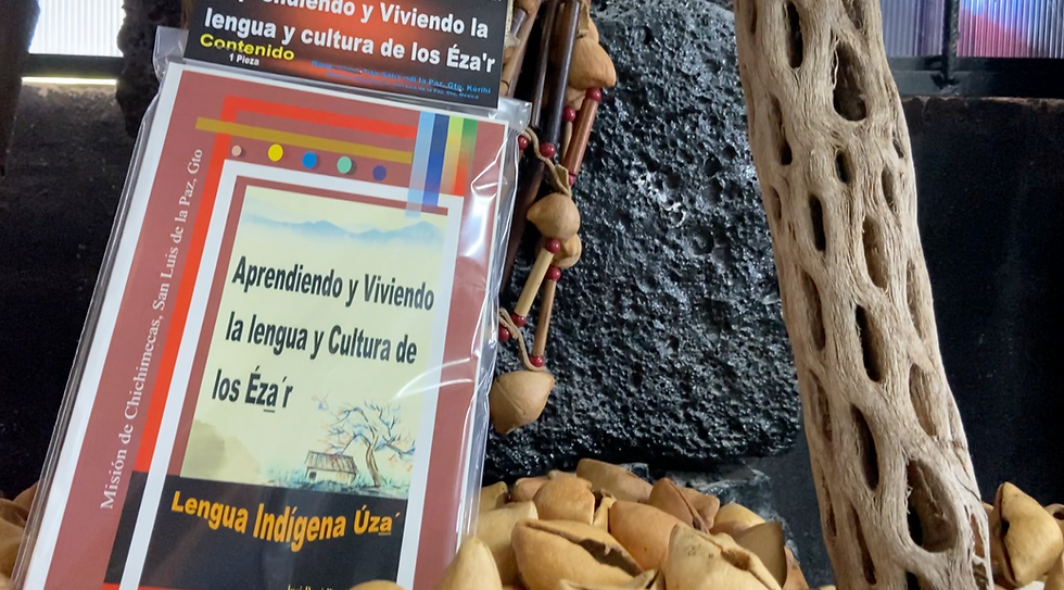 Avanza propuesta de Morena para incluir mensajes en Chichimeca, en señalética del estado