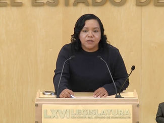 Plásida Calzada logra exhorto a ayuntamientos para garantizar el derecho a la consulta de pueblos y comunidades indígenas y afromexicanas en Guanajuato