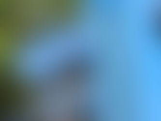 CECyTE Guanajuato plantel San José Iturbide cumple 15 años