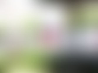 Emite recomendaciones protección civil de SJI ante temporada de calor.