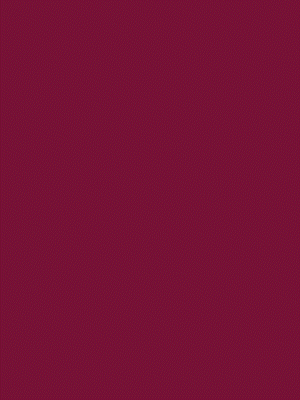 300 x 400 - 01.gif