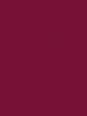 300 x 400 - 01.gif