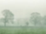 FoggyViaduct2_LeeThompson