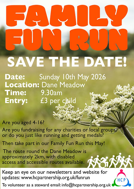 STD fun run poster v2.jpg