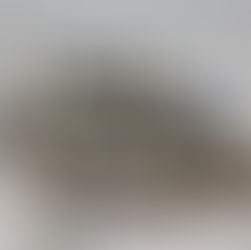 Lavender Blueberry Slice Cake