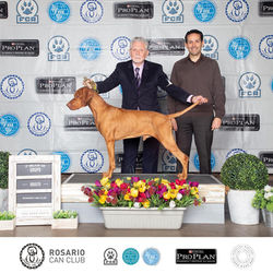 Ivo "Charles Antoine Sanz"