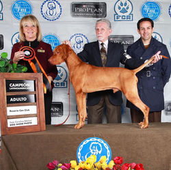 Ivo "Charles Antoine Sanz"