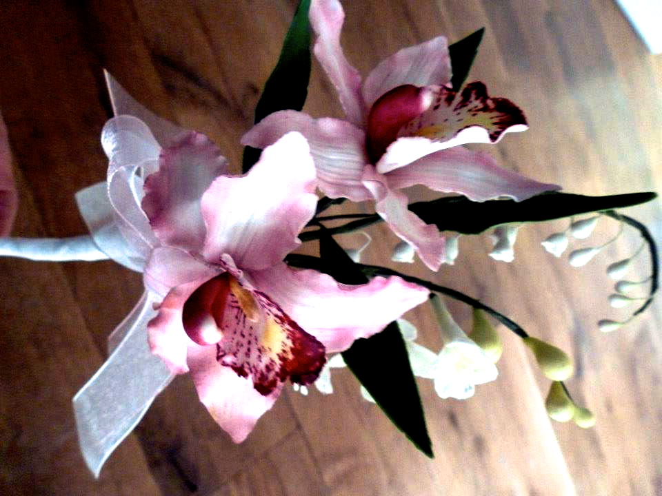 Orchids