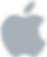 Apple Logo, grey apple
