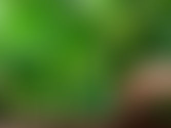 India Plant Growth Regulators Market Forecast 2025: Trends & Competition