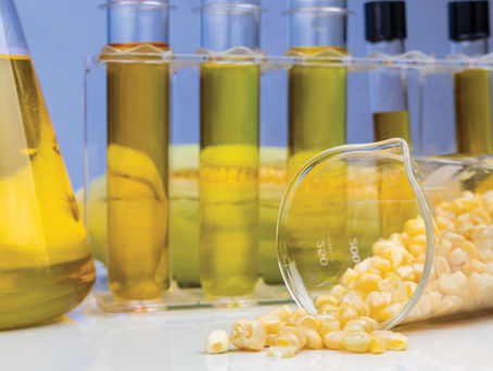 Global Bio-Lubricant Market Outlook and Forecast till 2028