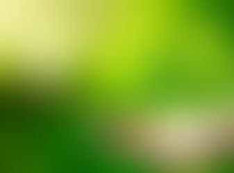 Green & Bio-Solvents Market - Opportunities, Size & Growth Projections