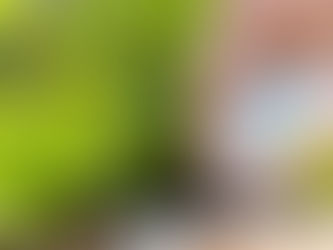 India Neem Coated Urea Market 2028 - Share, Trends & Forecast