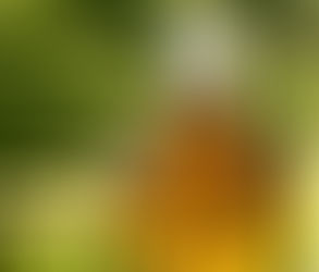 Asia Pacific Palm Methyl Ester Market 2027: Analysis & Growth with Trends