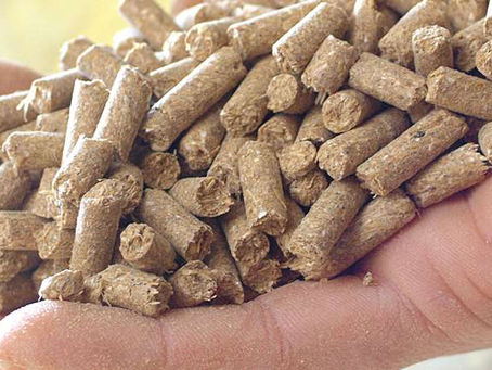 Germany Animal Feed Market - Opportunities, Size & Growth Projections