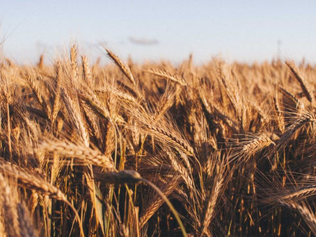 Europe Biodegradable Market 2028 - Share, Trends & Forecast