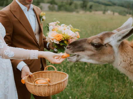 Káťa a Tom: Svatba U srubu, Újezd u Boskovic