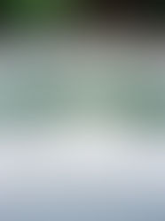 2017 Forever Bridal Show