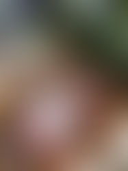 Curbside Tastings: Try Before You Buy in a Socially Distant World