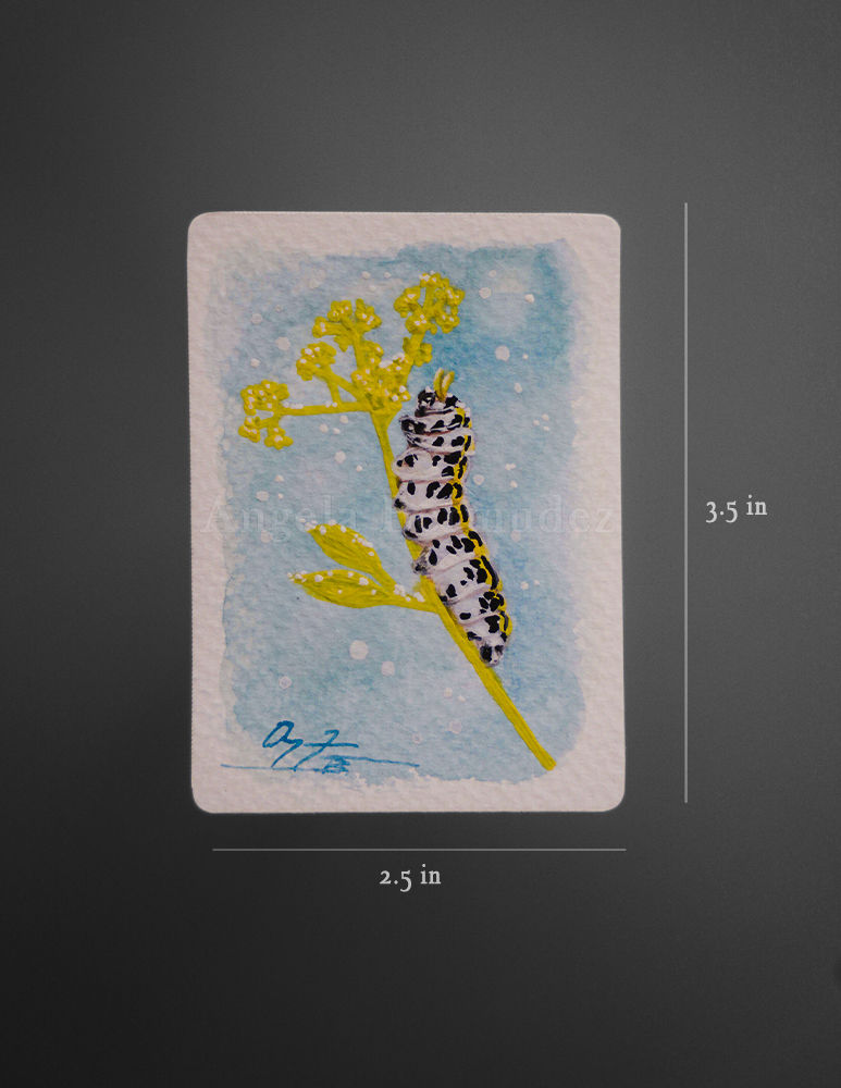 ACEO Original Painting: Swallowtail caterpillar