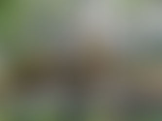 Barnläger sommaren 2018