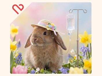 Húsvéti „túlélőkalauz”: amikor a nyúl is jobban bírja, mint mi