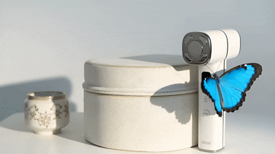 openart-video_55842396_1757235879452 (2).gif