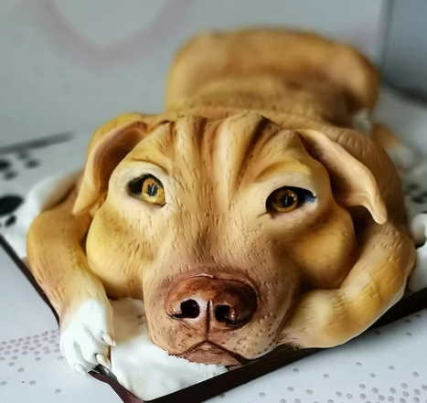 dog 3d structure birthday party celebration cake billingshurst
