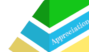 CurlyStache Raising Teens Blog | Pyramid Block focused in on "Appreciation"