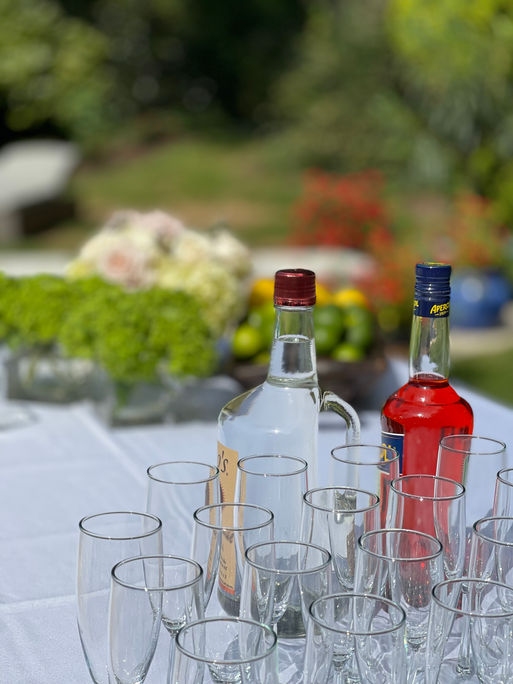 Bridal shower, event design, decor, flower design, florist, Balloon design, elegant bridal shower, pool balloons, DC events, Washington